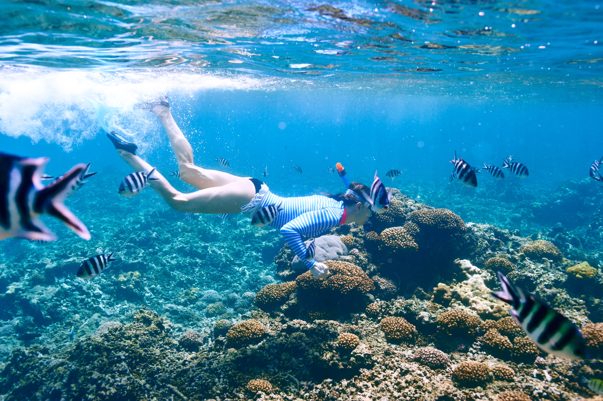 2024/01/woman-with-mask-snorkeling-2024-10-17-23-44-39-utc-scaled.jpg