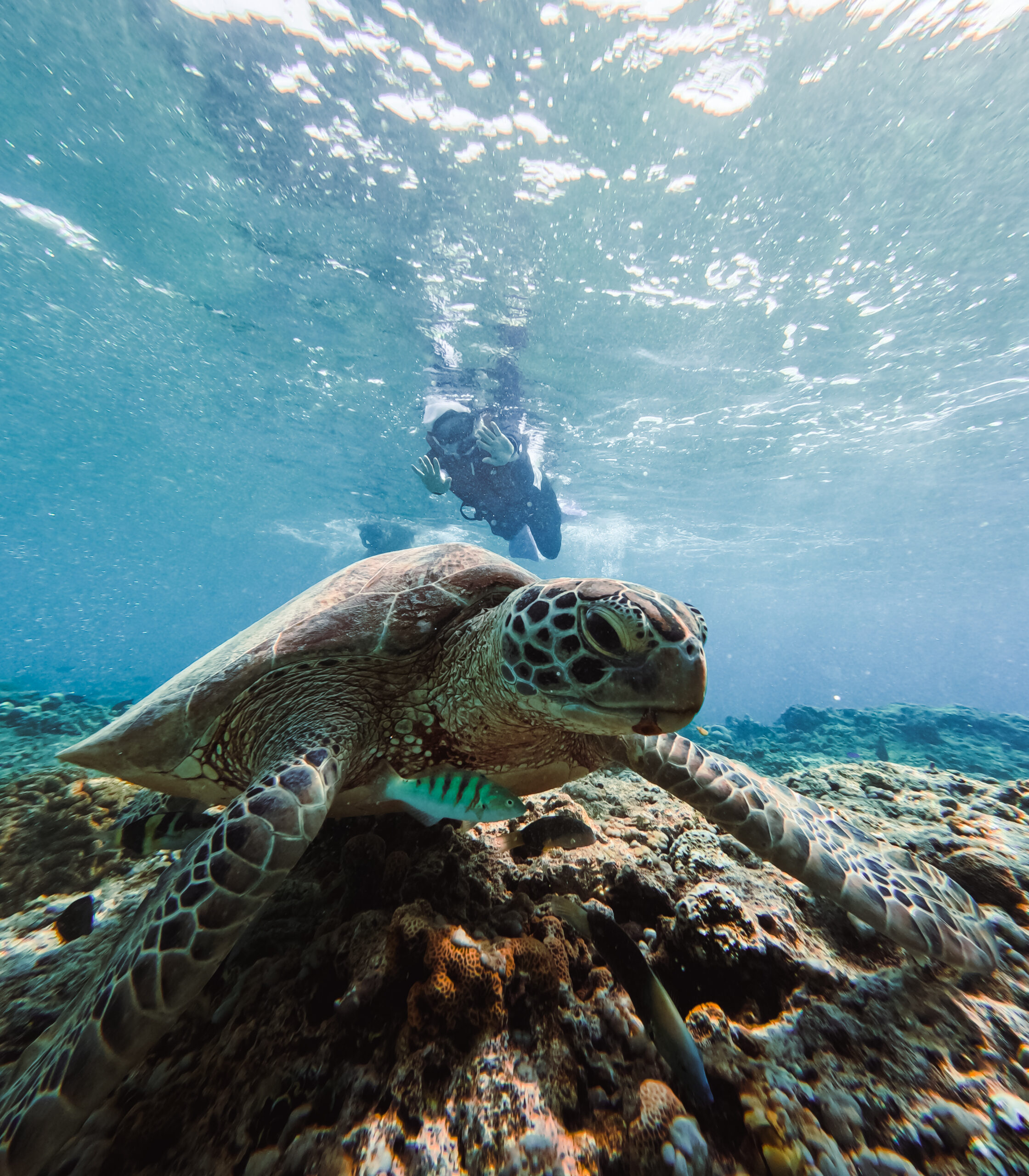2024/02/Gili-21-of-19-scaled.jpg