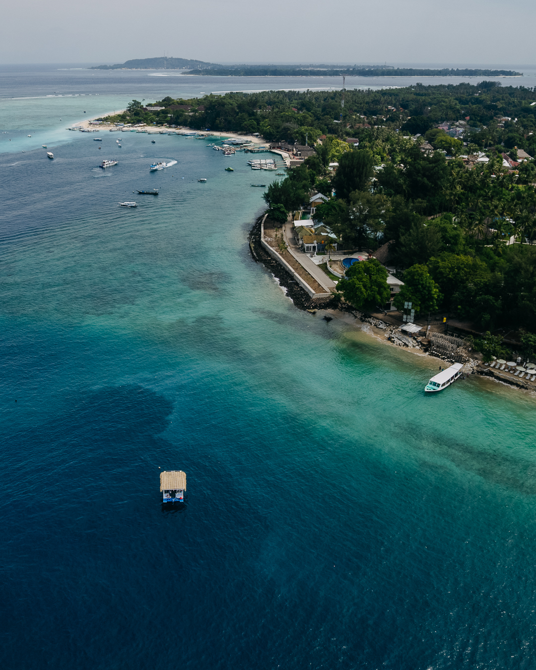 2024/02/Gili-Hai-3-1.jpg